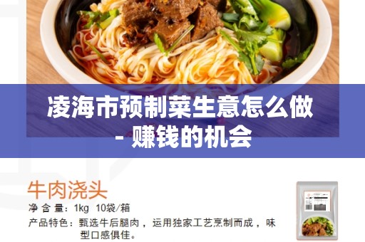 凌海市预制菜生意怎么做 - 赚钱的机会