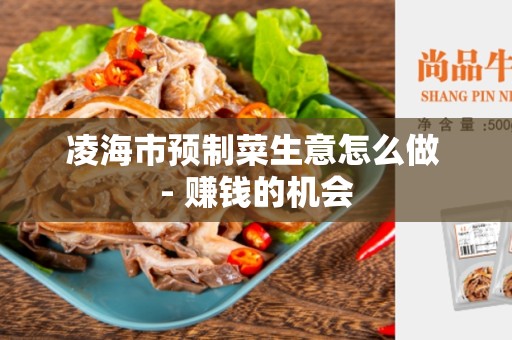 凌海市预制菜生意怎么做 - 赚钱的机会