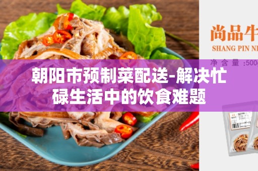 朝阳市预制菜配送-解决忙碌生活中的饮食难题