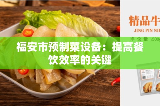 福安市预制菜设备：提高餐饮效率的关键