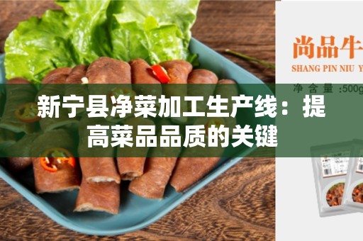新宁县净菜加工生产线：提高菜品品质的关键