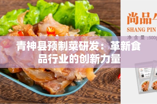 青神县预制菜研发：革新食品行业的创新力量