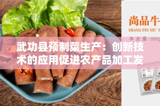 武功县预制菜生产：创新技术的应用促进农产品加工发展