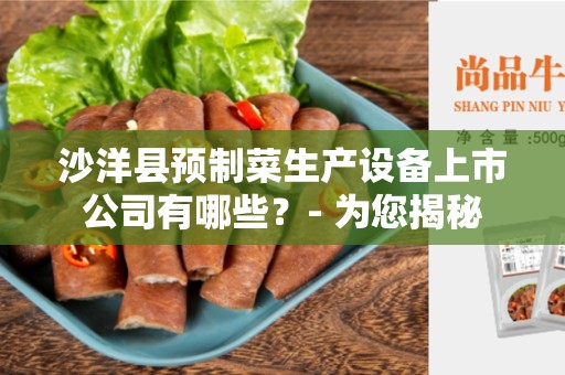 沙洋县预制菜生产设备上市公司有哪些？- 为您揭秘