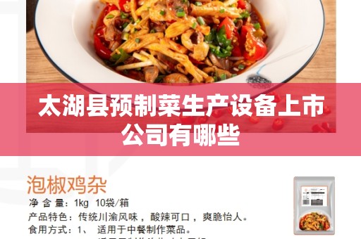 太湖县预制菜生产设备上市公司有哪些