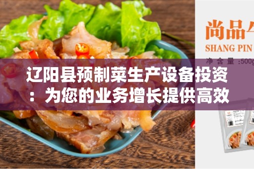 辽阳县预制菜生产设备投资：为您的业务增长提供高效解决方案