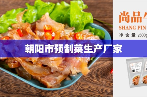 朝阳市预制菜生产厂家