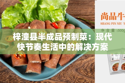 梓潼县半成品预制菜：现代快节奏生活中的解决方案