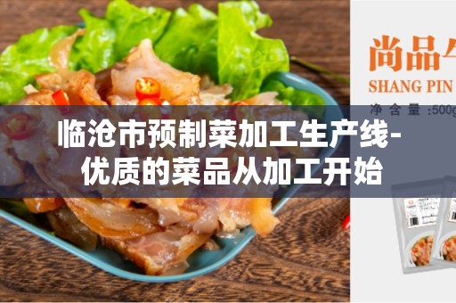 临沧市预制菜加工生产线- 优质的菜品从加工开始