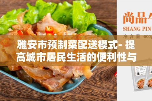 雅安市预制菜配送模式- 提高城市居民生活的便利性与多样性