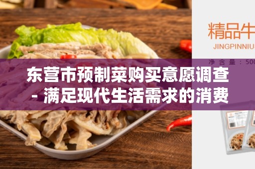 东营市预制菜购买意愿调查 - 满足现代生活需求的消费选择