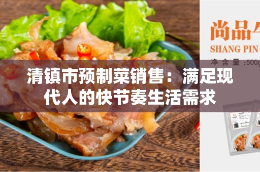 清镇市预制菜销售：满足现代人的快节奏生活需求