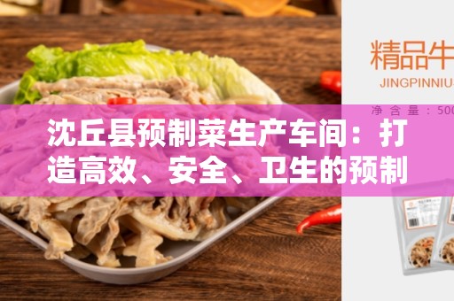 沈丘县预制菜生产车间：打造高效、安全、卫生的预制菜生产基地