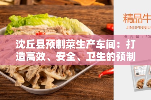 沈丘县预制菜生产车间：打造高效、安全、卫生的预制菜生产基地