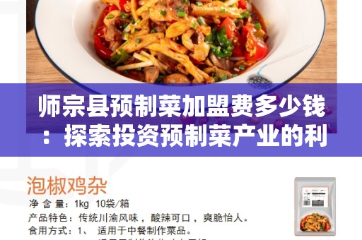 师宗县预制菜加盟费多少钱：探索投资预制菜产业的利与弊