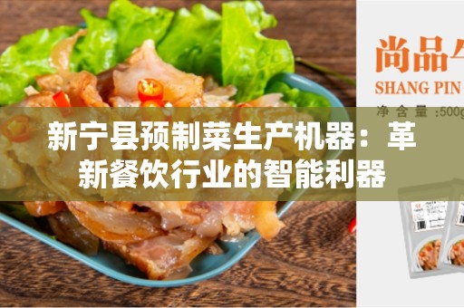 新宁县预制菜生产机器：革新餐饮行业的智能利器