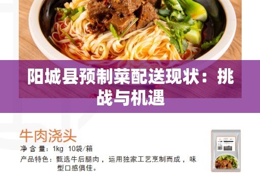 阳城县预制菜配送现状：挑战与机遇