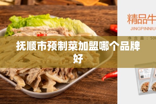 抚顺市预制菜加盟哪个品牌好