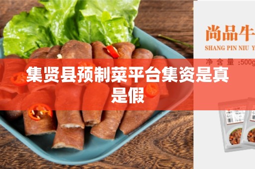 集贤县预制菜平台集资是真是假