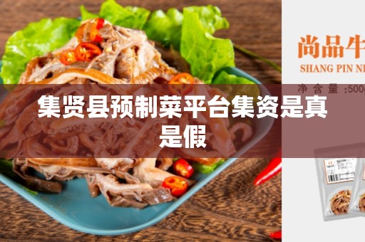 集贤县预制菜平台集资是真是假