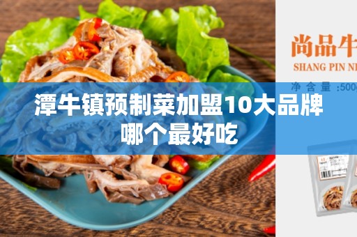 潭牛镇预制菜加盟10大品牌哪个最好吃