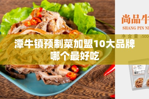 潭牛镇预制菜加盟10大品牌哪个最好吃