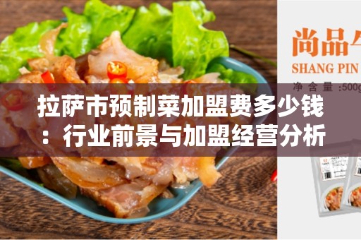 拉萨市预制菜加盟费多少钱：行业前景与加盟经营分析