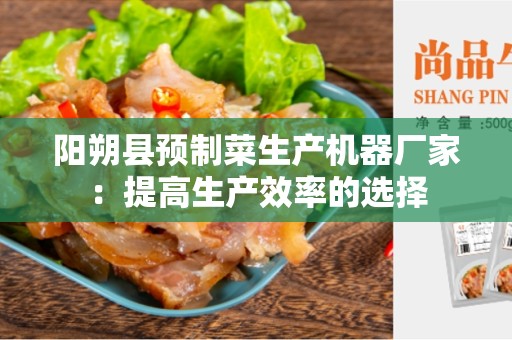 阳朔县预制菜生产机器厂家：提高生产效率的选择