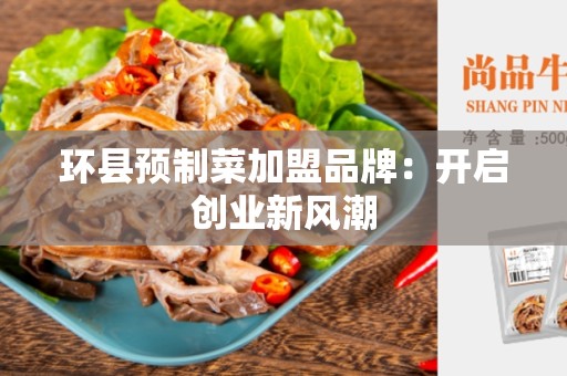 环县预制菜加盟品牌：开启创业新风潮