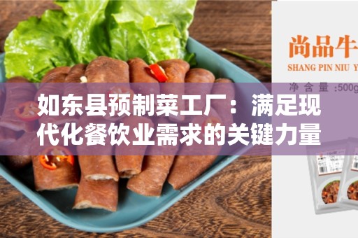 如东县预制菜工厂：满足现代化餐饮业需求的关键力量
