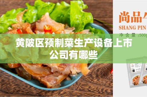 黄陂区预制菜生产设备上市公司有哪些