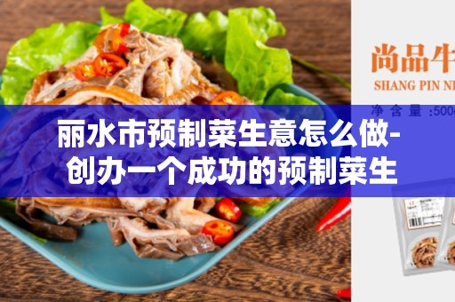 丽水市预制菜生意怎么做- 创办一个成功的预制菜生意的全指南