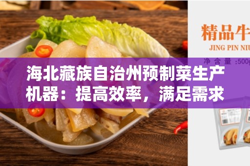 海北藏族自治州预制菜生产机器：提高效率，满足需求