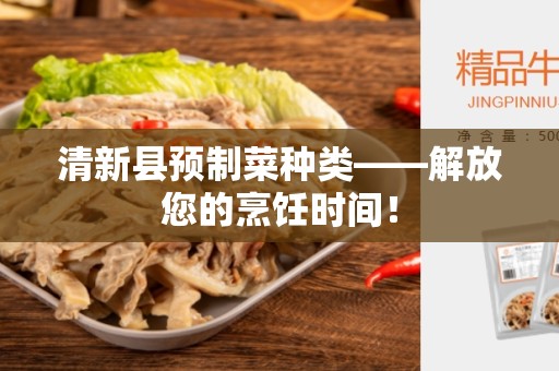 清新县预制菜种类——解放您的烹饪时间！
