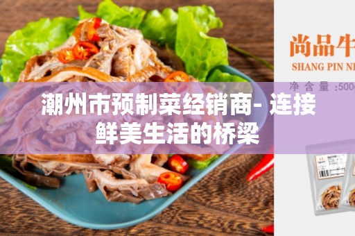 潮州市预制菜经销商- 连接鲜美生活的桥梁