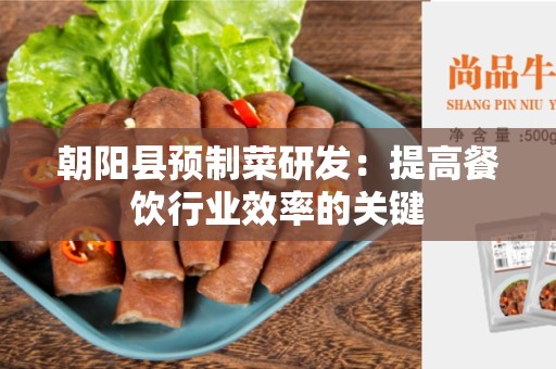朝阳县预制菜研发：提高餐饮行业效率的关键