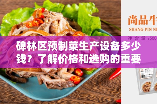 碑林区预制菜生产设备多少钱？了解价格和选购的重要因素