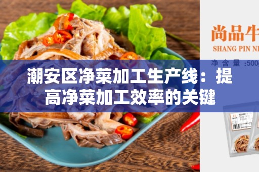 潮安区净菜加工生产线：提高净菜加工效率的关键