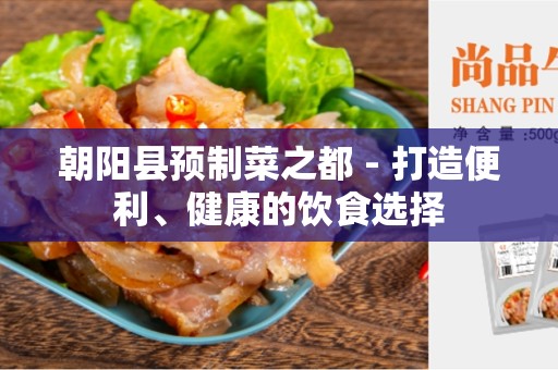 朝阳县预制菜之都 - 打造便利、健康的饮食选择