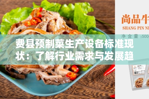 费县预制菜生产设备标准现状：了解行业需求与发展趋势