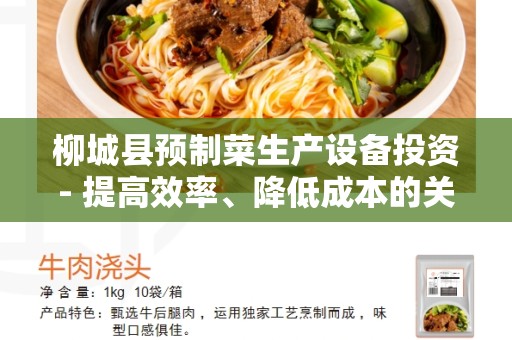 柳城县预制菜生产设备投资- 提高效率、降低成本的关键