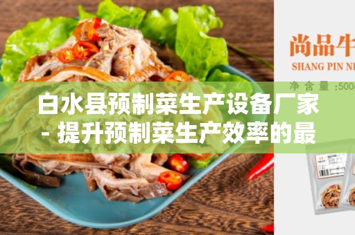白水县预制菜生产设备厂家- 提升预制菜生产效率的最佳选择
