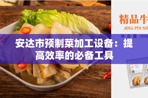 安达市预制菜加工设备：提高效率的必备工具
