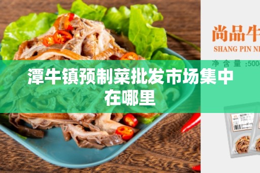 潭牛镇预制菜批发市场集中在哪里