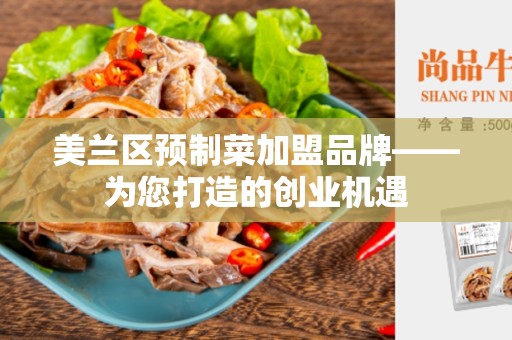 美兰区预制菜加盟品牌——为您打造的创业机遇