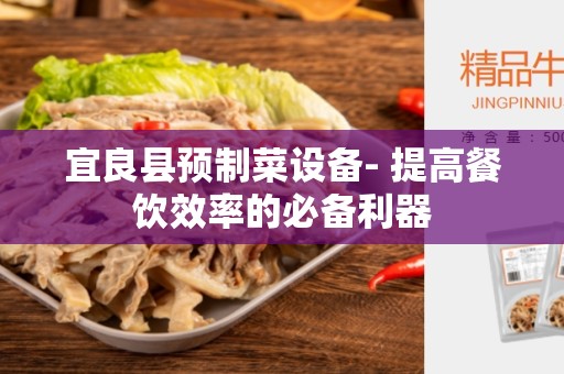 宜良县预制菜设备- 提高餐饮效率的必备利器