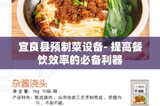 宜良县预制菜设备- 提高餐饮效率的必备利器
