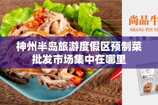 神州半岛旅游度假区预制菜批发市场集中在哪里