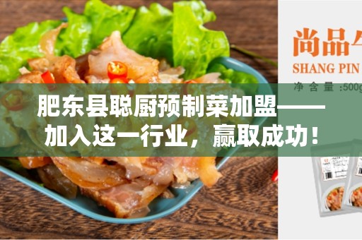 肥东县聪厨预制菜加盟——加入这一行业，赢取成功！