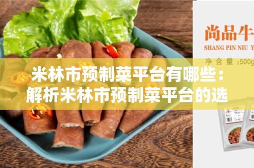 米林市预制菜平台有哪些：解析米林市预制菜平台的选择及特点